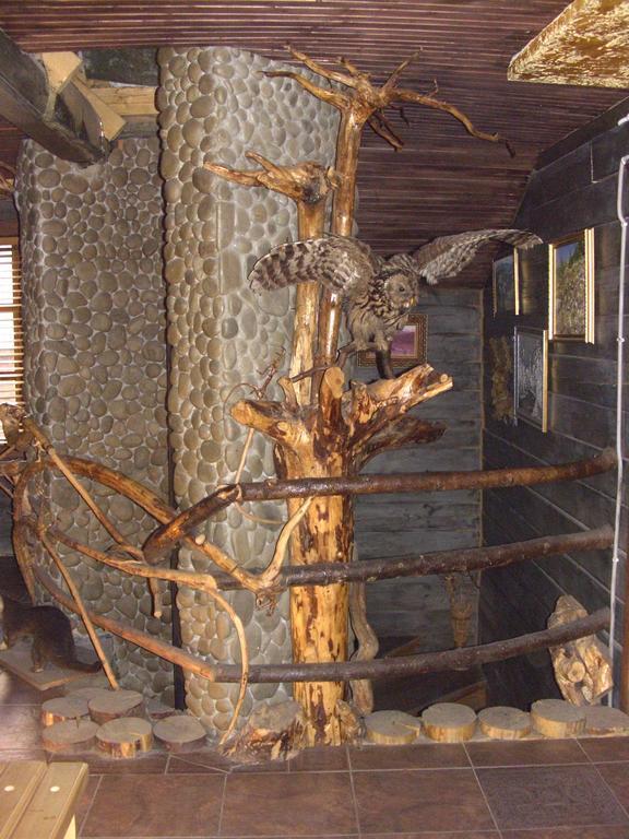 Chalet Truten Vorokhta Ngoại thất bức ảnh